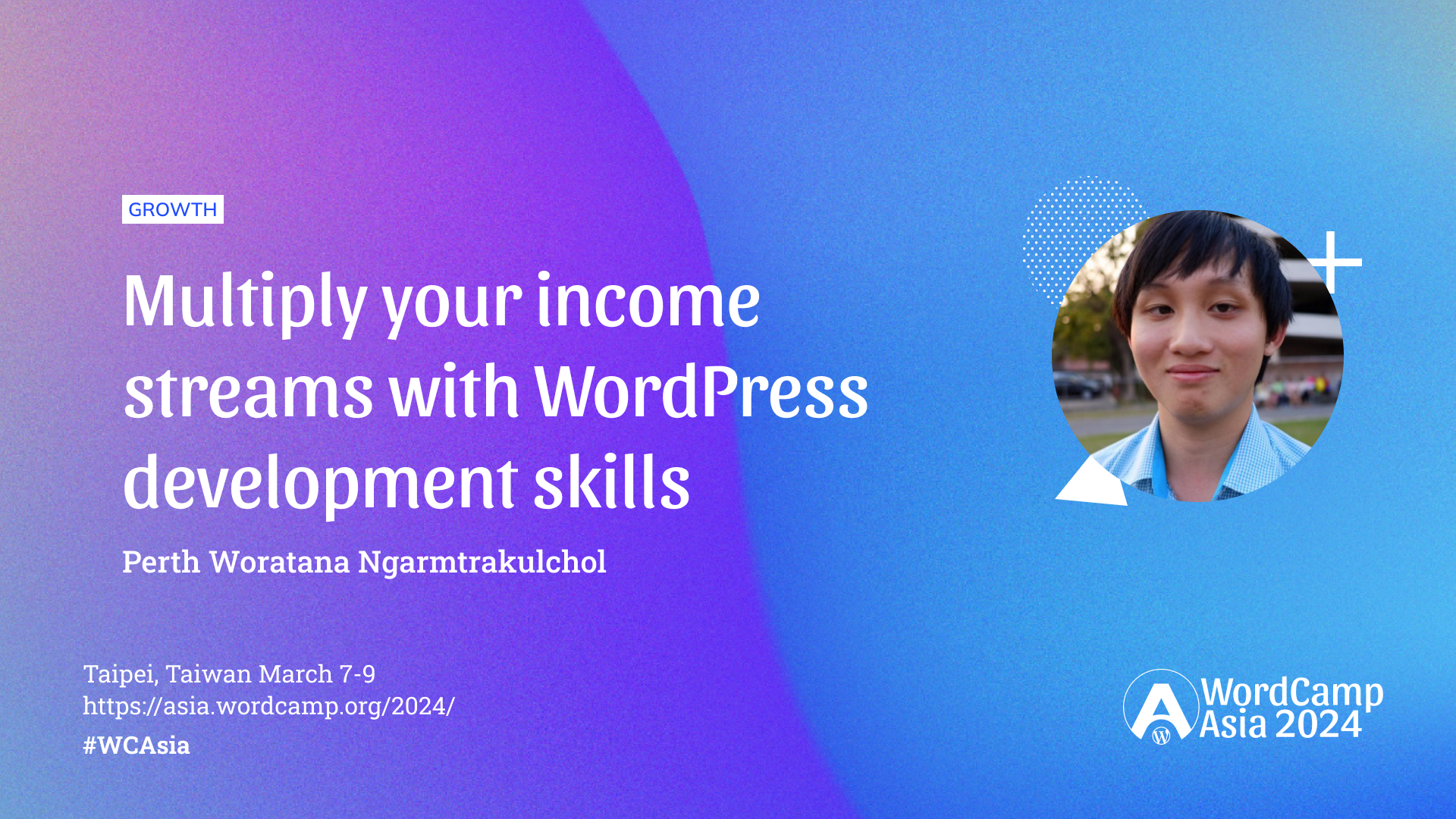 Multiply your income streams with WordPress development skills