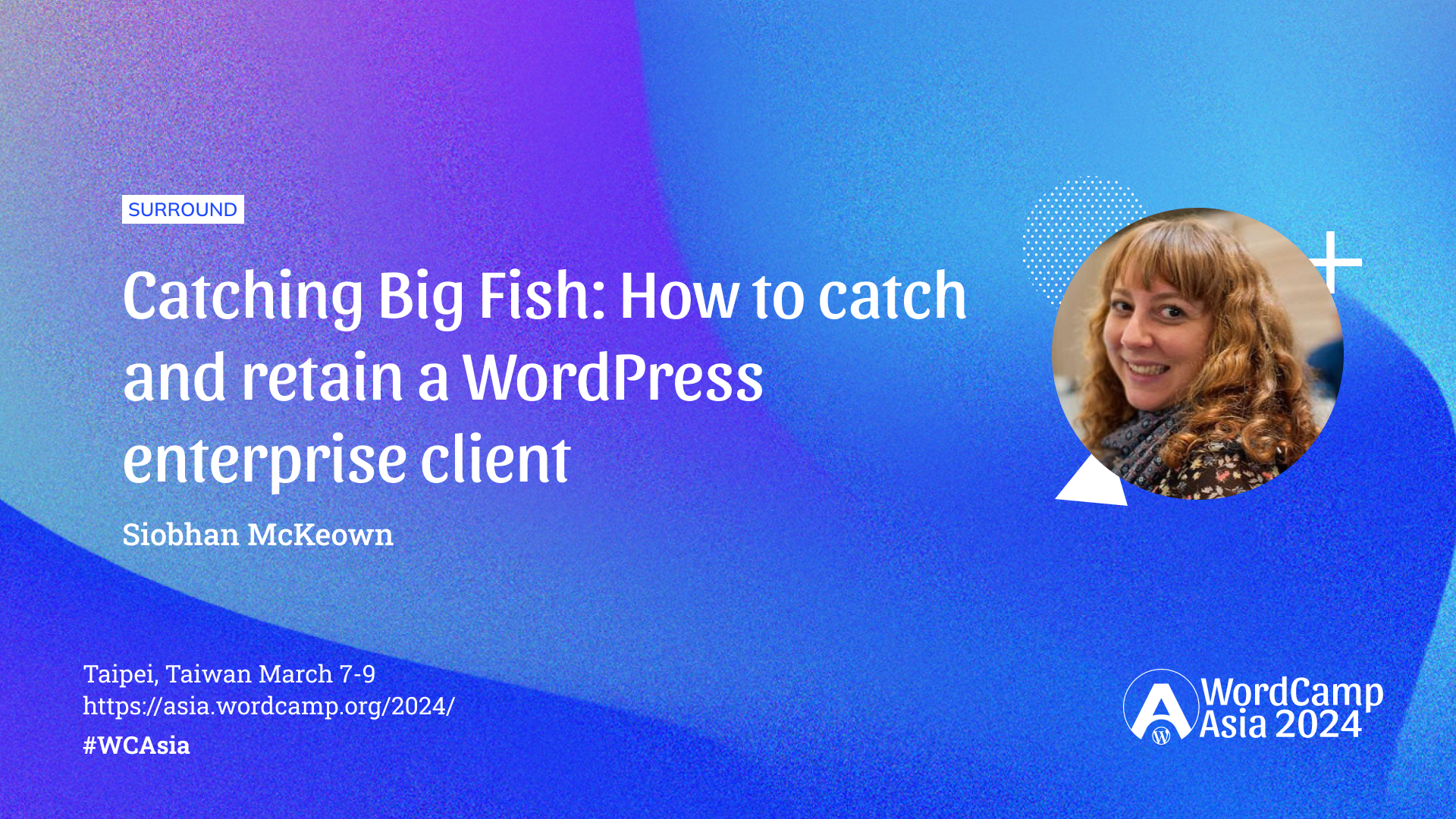 Catching Big Fish: How to catch and retain a WordPress enterprise client